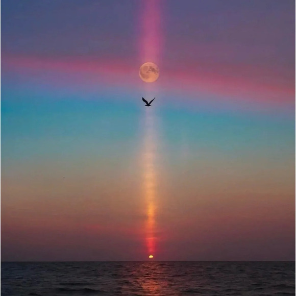 🆕J. Crew Baroque  Pearls & Crystal Bracelet - Picture 8 of 12